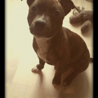 Photo de profil de Opale