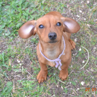 Photo de profil de marsanne
