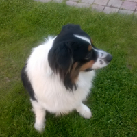 Photo de profil de Joyce 