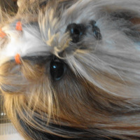 Photo de profil de kenzo