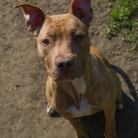 Photo de profil de Kira 
