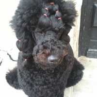 Photo de profil de Sam
