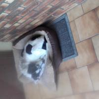 Photo de profil de chance