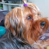 Photo de profil de LEPRINCE