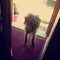 Photo de profil de Chipie