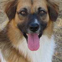Photo de profil de Bilbo