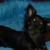 Photo de LUNA