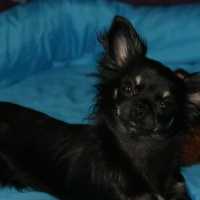 Photo de profil de LUNA
