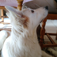 Photo de profil de Judy