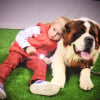 Photo de Jocya, Saint-Bernard