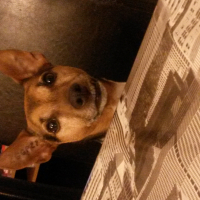 Photo de profil de Ernest 