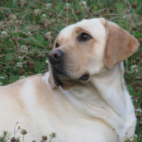 Photo de profil de floyd