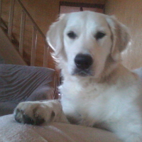 Photo de profil de Mhinna