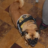 Photo de profil de Nala