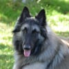 Photo de Görden
