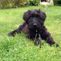 Photo de profil de MELISSE