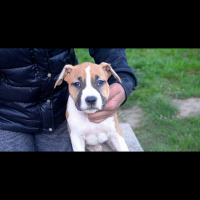 Photo de profil de Myha 