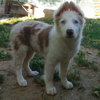 Photo de profil de Melba