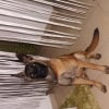Photo de rocki