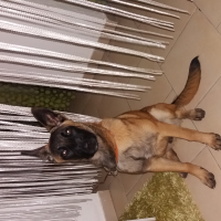 Photo de profil de rocki