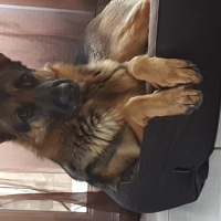 Photo de profil de Jao
