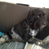 Photo de profil de Tina