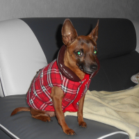 Photo de profil de babou