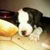 Photo de Kayson 