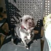 Photo de Pilou