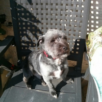 Photo de profil de Pilou