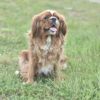 Photo de profil de Malavita