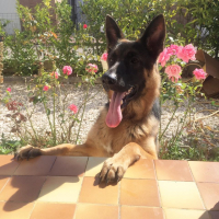 Photo de profil de Roxànne 