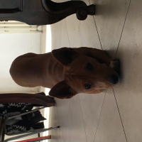 Photo de profil de Seymour