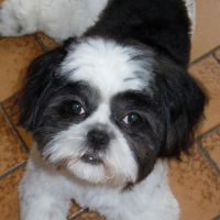 Photo de profil de Guisma