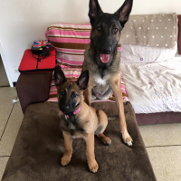 Photo de profil de letty & juna