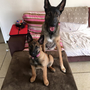 Photo de profil de letty & juna