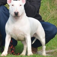 Photo de profil de iska
