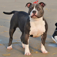 Photo de profil de leika