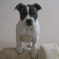Photo de profil de mistic