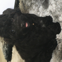 Photo de profil de MOUSSE