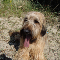 Photo de profil de floure