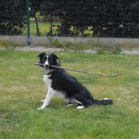 Photo de profil de Chipie