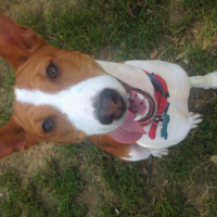 Photo de profil de Zazou