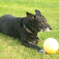 Photo de profil de Caline