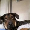 Photo de Bruce