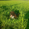 Photo de Jitté