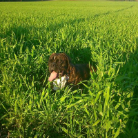 Photo de profil de Jitté