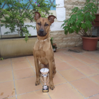 Photo de profil de Koffy
