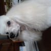 Photo de Bonny