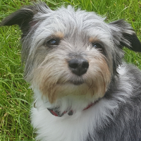 Photo de profil de Suzi